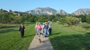 group walking outdoors